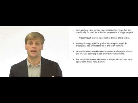 What Are Joint Ventures? Learn the Basics Now!