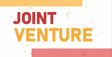 Descubre los mejores ejemplos de Joint Venture Internacional