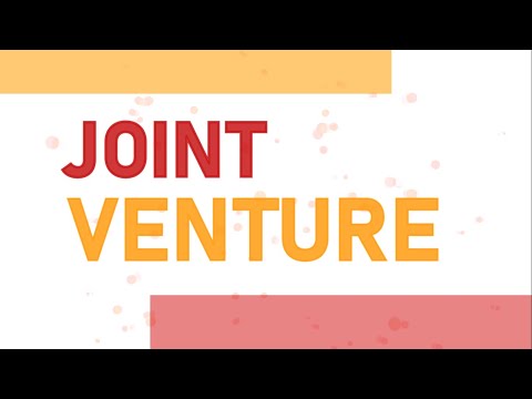 Descubre los mejores ejemplos de Joint Venture Internacional