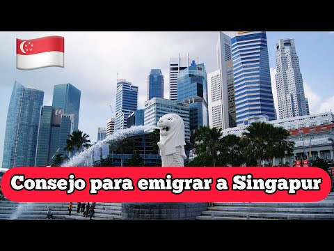 Descubre las mejores oportunidades de Joint Venture en Singapur