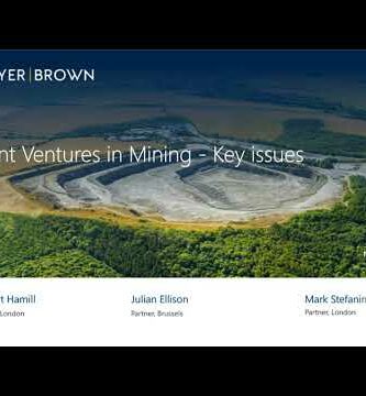 Exploring Profitable Mining Joint Ventures