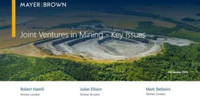 Exploring Profitable Mining Joint Ventures