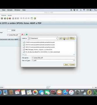 Guía de Configuración de Contabilidad Conjunta SAP en PDF