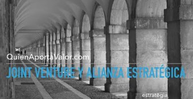 Joint Venture 50/50: Una Asociación Estratégica de Éxito