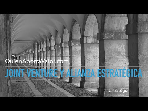 Joint Venture 50/50: Una Asociación Estratégica de Éxito