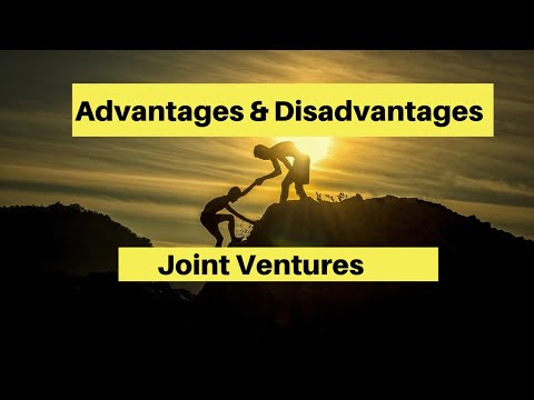 Exploring the Advantages of Joint Venture