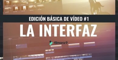 Guía completa para entender una ACC Joint Venture