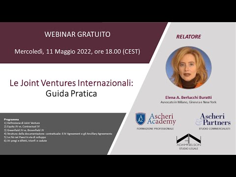 5 Esempi di Joint Venture di Successo - Guida Completa