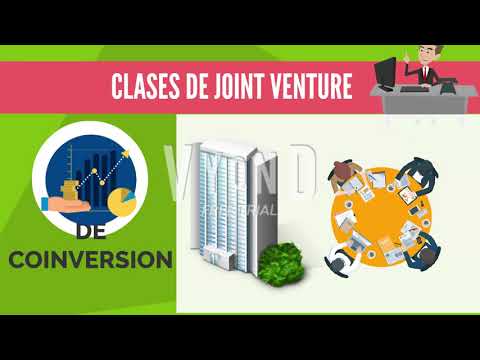 Descubre los Joint Ventures: qué son y cómo funcionan