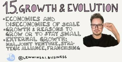 Joint Venture and Acquisition: Maximize Your Business Growth